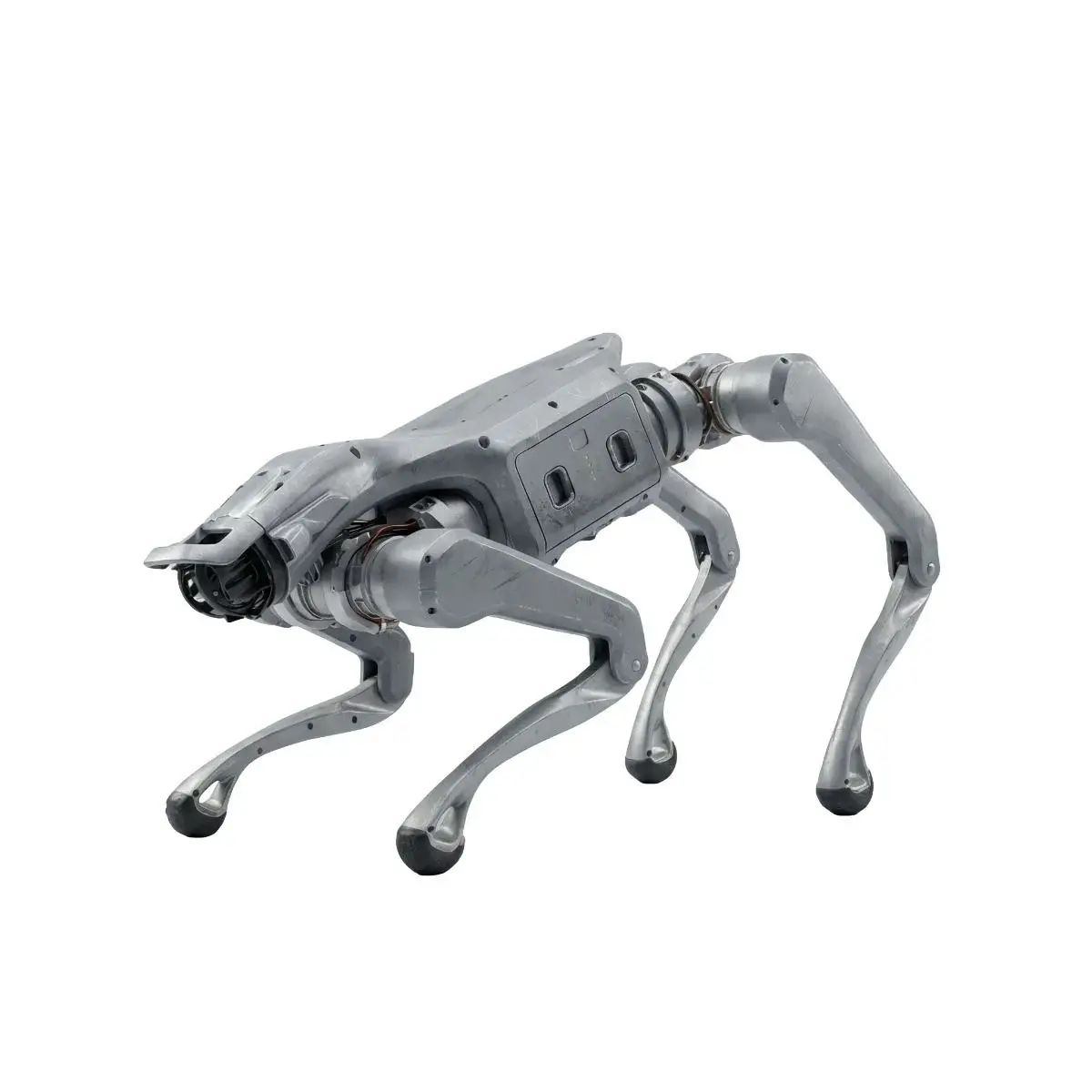 Unitree As2 Showcase Image
